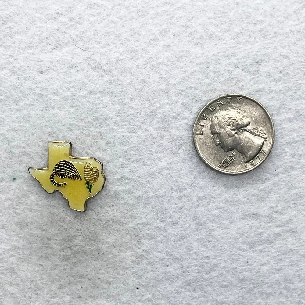 🔮‎ 5/$25 Vintage Texas Armadillo Pin